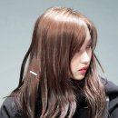 보고유치원 이미지