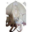 대왕수산 이미지