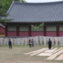 자연애 염색