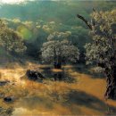 은하수주유소 이미지