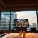 로얄사우나 이미지