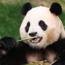 고향달머무는곳 이미지