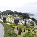 3월 둘째주 &#39;한려수도의 붉은 보석&#39; 통영 장사도 갑니다 이미지