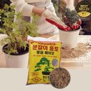 흙 쇼핑하우