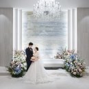 서울파피루스 이미지