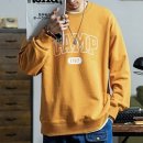 라쿤빈티지 이미지