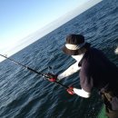 울진왕돌초 이미지