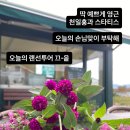 누리달 Daum카페