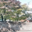 아이즈 오브 엔젤 이미지