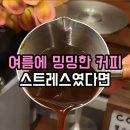 진해얼음 | 카페 사장님만 아는 '안 녹는 아이스라떼' 비결? 텀블러 쏙 실리콘 롱스트립 얼음틀 내돈내산 후기