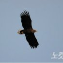 하천(갑천5-1) 이미지
