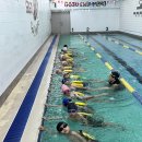 💚누리과정&amp;수영💚 이미지