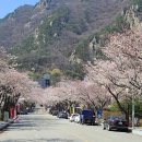 황금 노래연습장 이미지