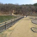 금광호수 이미지