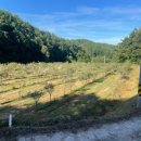 봉화1농장 이미지