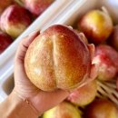 유진농장 이미지