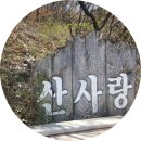 용인 고기리 산사랑 솔직후기｜산나물로 만든 자연 속 한정식집?