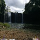 도열농장 이미지