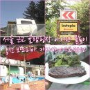 SKY비발디펜션 | 서울 근교 글램핑장 아이랑 홍천 물놀이 보또피아 카라반파크&amp;펜션