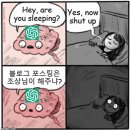 애드리서치 | [공지] 네이버 애드포스트 승인 조건 현실 후기 (주식 블로그 수익화 실제 과정 공개)