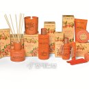 오렌지라인 이미지