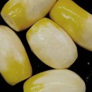 국산요리반찬 이미지