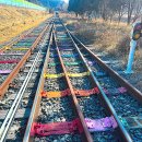 동부대로 | 전주 한옥마을 레일바이크 데이트 1박 2일 여행 코스