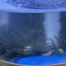 삼겹파티전포점 | |부산 서면 주심 전포본점| 한우와 해산물을 함께 즐기는 분위기 좋은 서면단체술집, 서면생새우맛집...