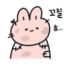 동백사랑마루요양원 이미지