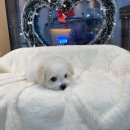 에브리 뽀송 이미지