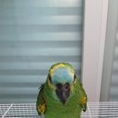 아성2농장 이미지