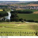 물처럼 바람처럼 이미지