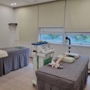 바르미안마원 이미지