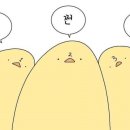 랍스터포차 이미지