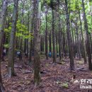 솔오름주차장 이미지