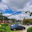 럭키골프랜드 이미지