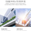 스마트플랜 | 배민리뷰 답글 스트레스 받던 사장님 위해 알아본 리뷰플랜 솔직 후기