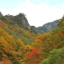 지리산의아침민박식당 이미지