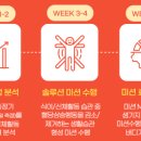 헬시버디 이미지