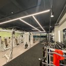Wayfit PT 네이버블로그