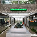 굿나잇 민박 | 제주 가족 여행 1 :: 범계-김포공항 리무진/무지개렌트카/하우투플레이 햄버거/상가리야자숲/소길별하...