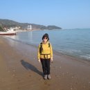 남파랑78 Daum카페