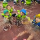 웅진태권도장 이미지