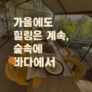 숲속에 바다 | 🌿 우이동 숲속에 바다 후기｜도심 속 계곡 감성 맛집에서 해물찜·삼겹살로 단체 힐링 타임