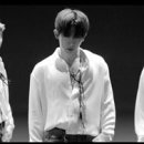 콸 Daum카페