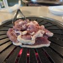 낙동생오리 티스토리