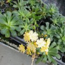 에바다농장 이미지