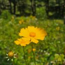 골프장둘레길 화장실 | 2026.06.28(일)충북 영동 백화산 고도 933m