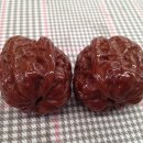 귀족호도 이미지