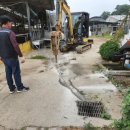 향림목장 이미지